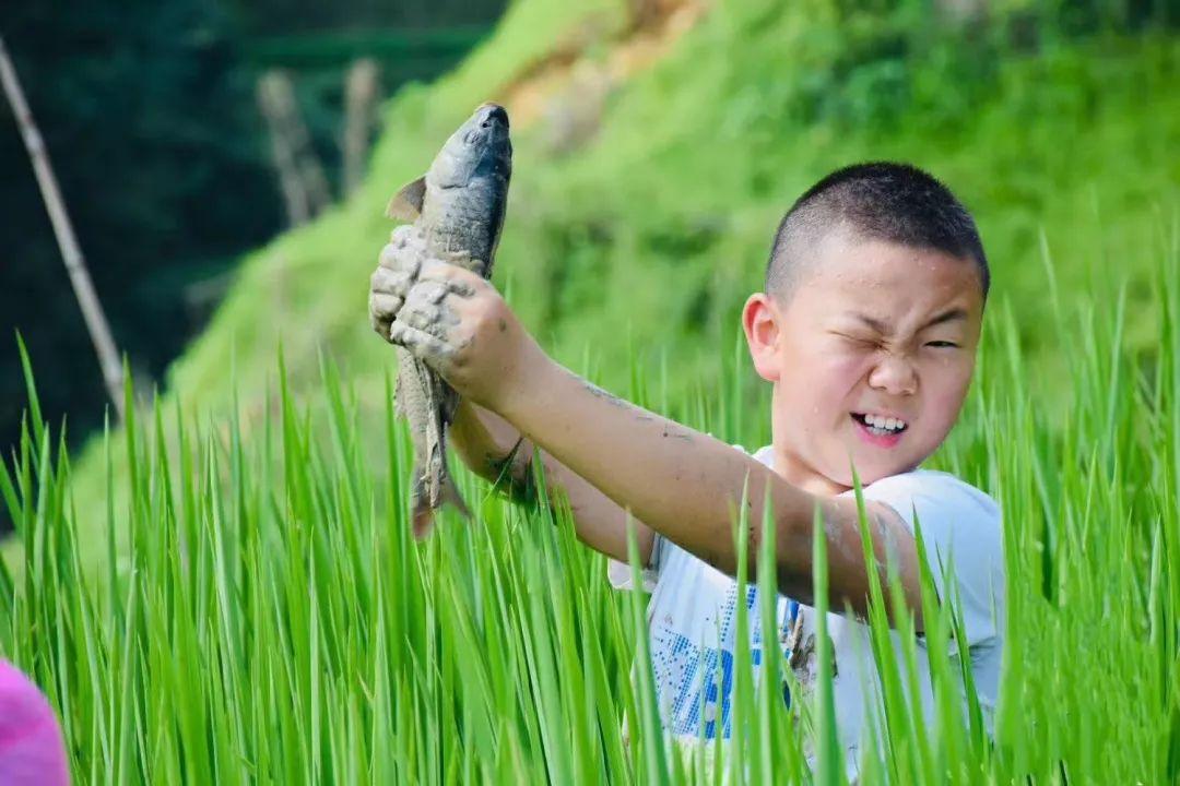 西双版纳傣族自治州市教育局最新项目，引领教育改革，塑造未来之光